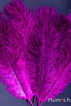 Autruche - 30-40 cm - gris naturel-fuchsia